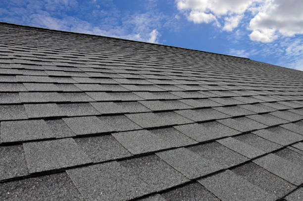 Best Roof Moss and Algae Removal  in Garden City, SC